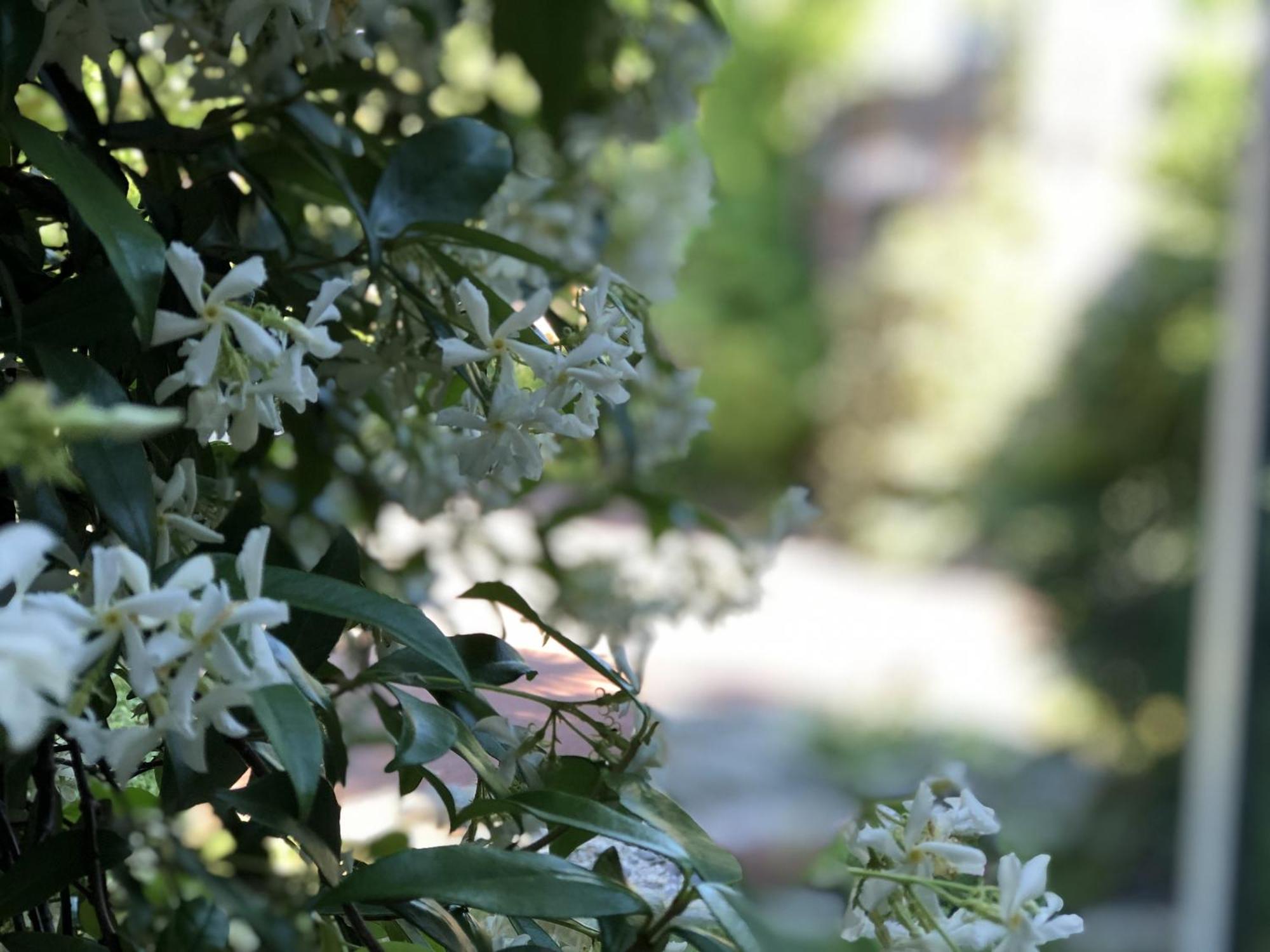 Aux Herbes Hautes Fleurbaix Exteriér fotografie